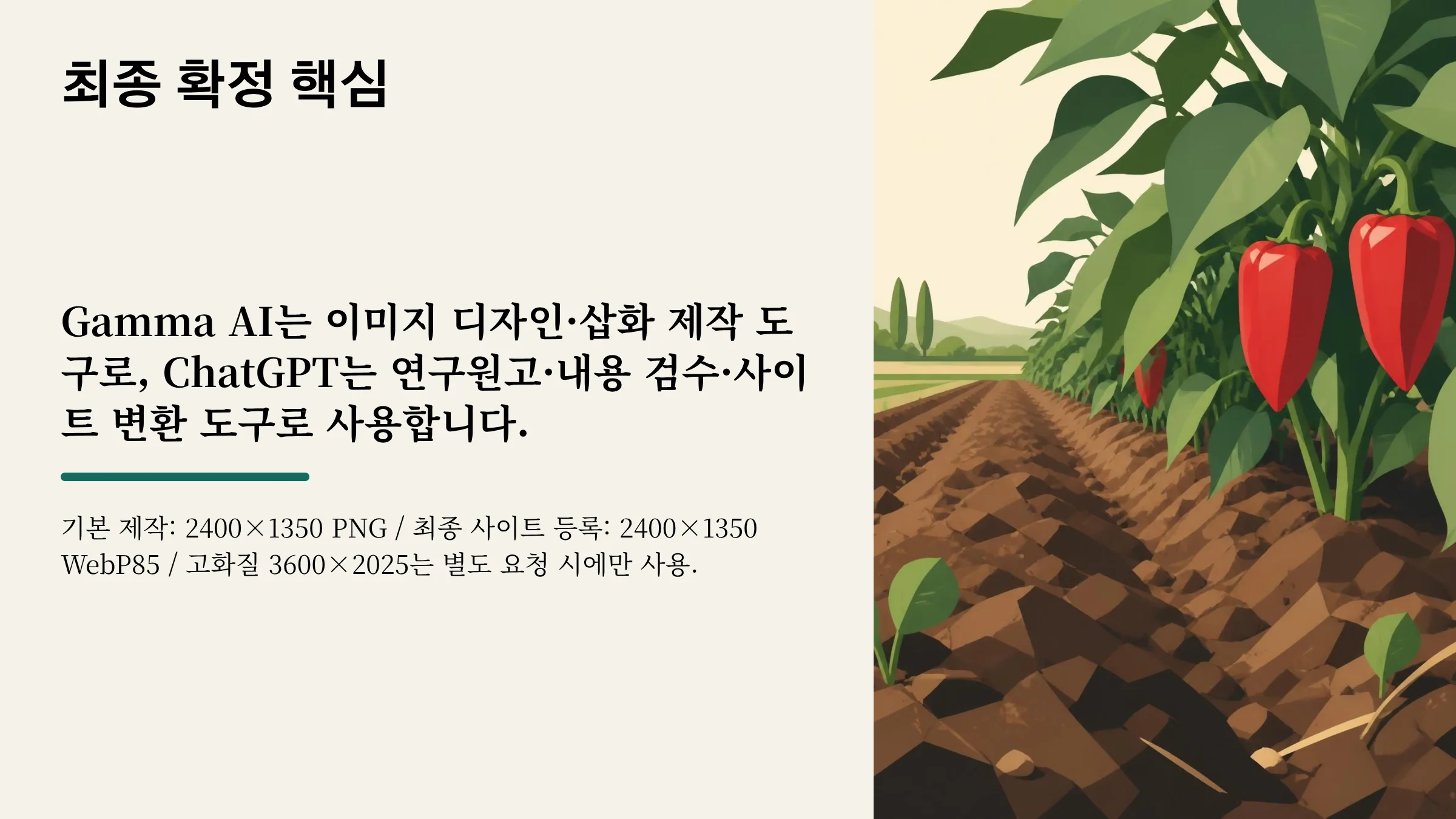 13_최종_확정_핵심.webp