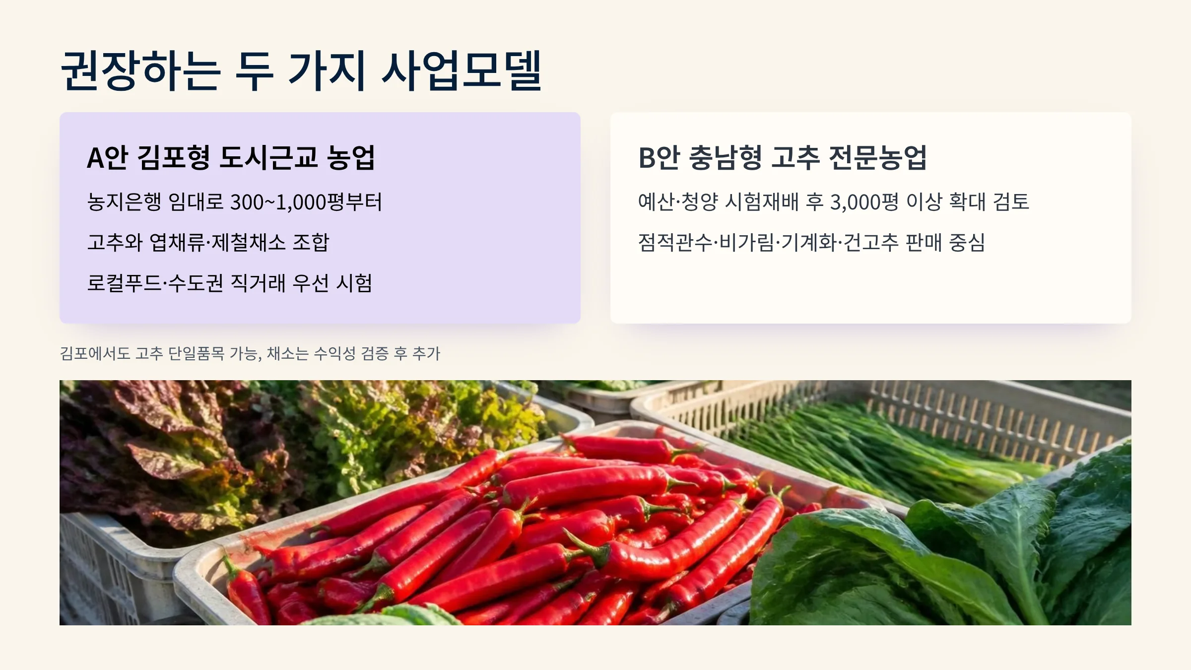05_김포형_충남형_사업모델.webp